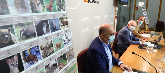 Tintaura realiza «Aragón Natural», proyecto didáctico sobre la fauna y la flora aragonesa