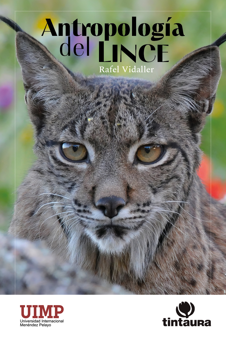 Tintaura se encarga del diseño del libro Antropología del Lince de Rafel Vidaller